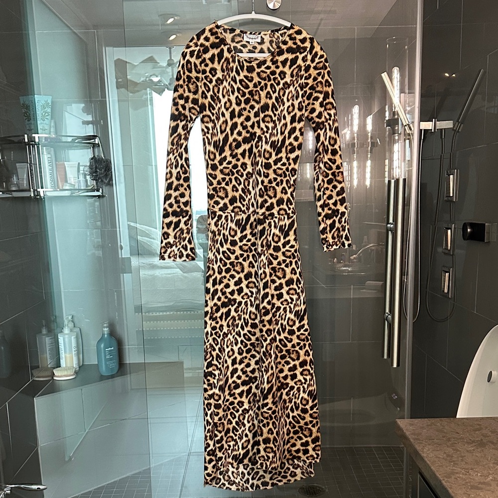 Chic Leopard Long Sleeve Maxi Dress